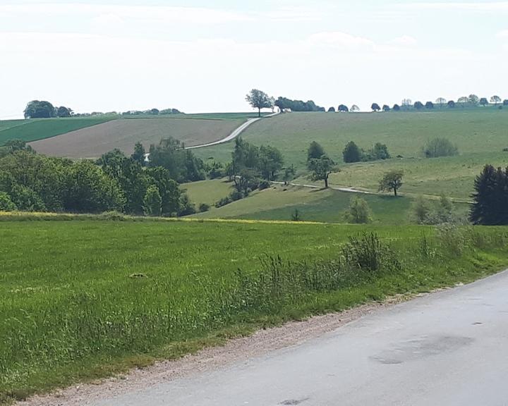 Neue Hohe - Natur- & Businesshotel Neuklingenberg